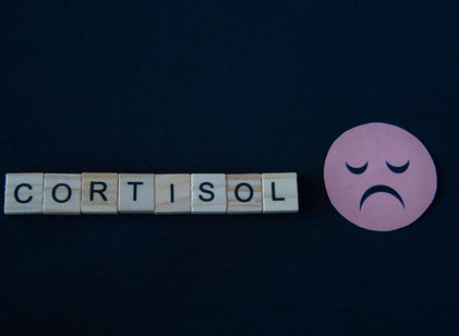Így csökkentheti a kortizol szintjét gyógyszerek nélkül című cikk nyitóképe