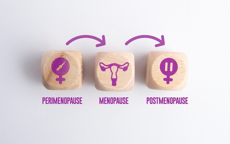 A petefészkek második élete: érdekes karrierváltáson esnek át a menopauza után
