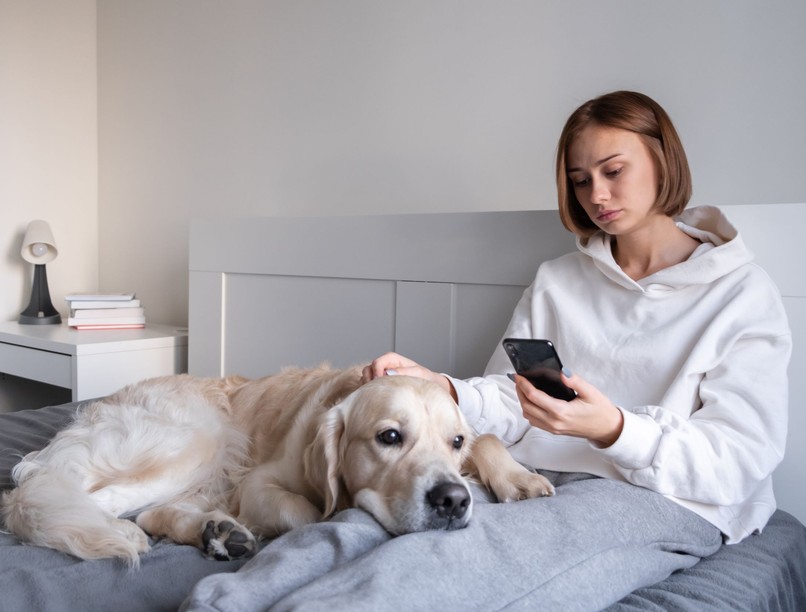 négylábú antidepresszánsok kutyatartás