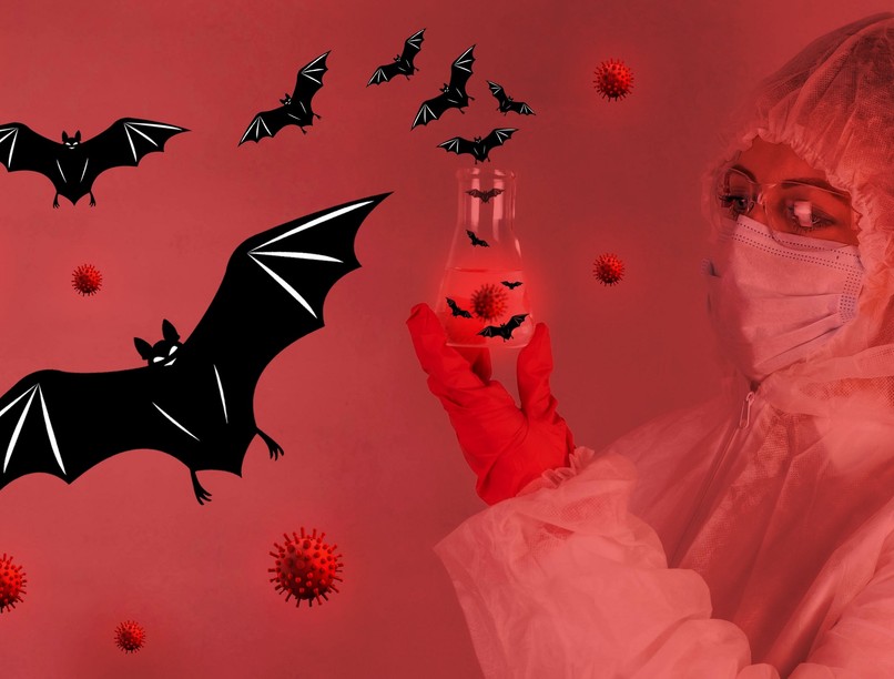 koronavírus variáns brazília denevér