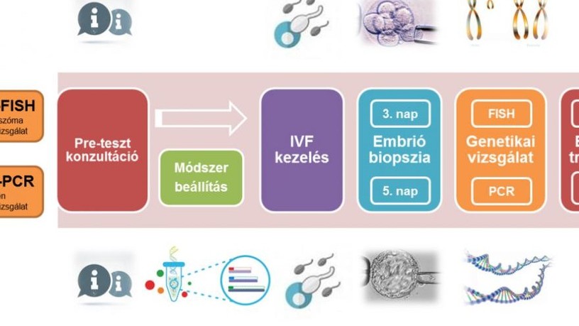 genetikai_teszt