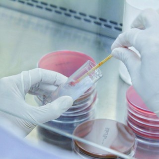 Mire utal a gennyes köpet? című cikk nyitóképe