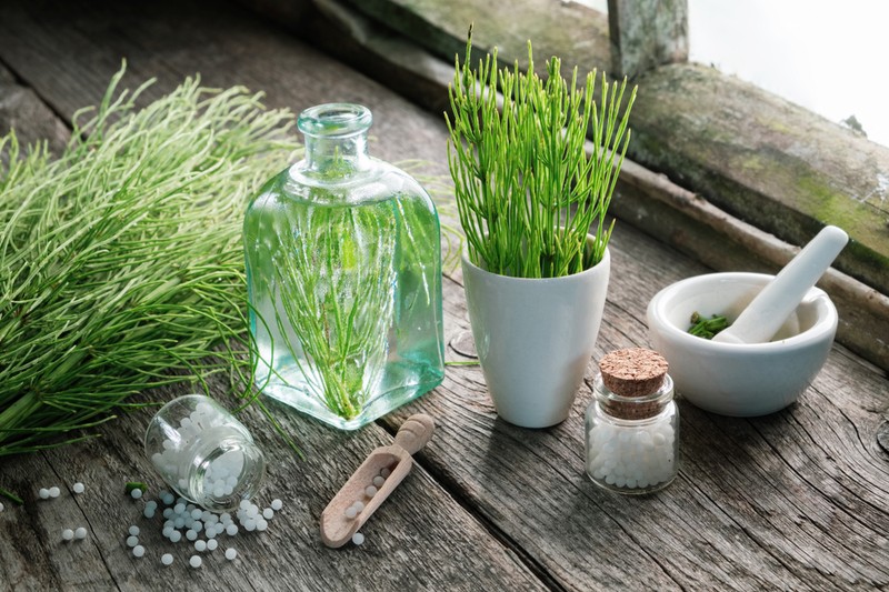 A 6 legerősebb, legjobb gyógynövények sebekre, gyulladásokra