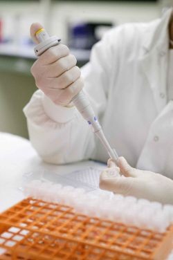 Mit láthatunk meg az anyai vérből?