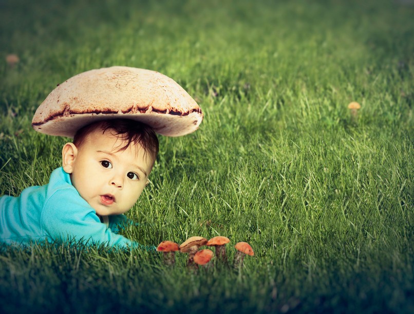 gomba mérgezés gyerek Heim Pál Gyermekkórház toxikológia