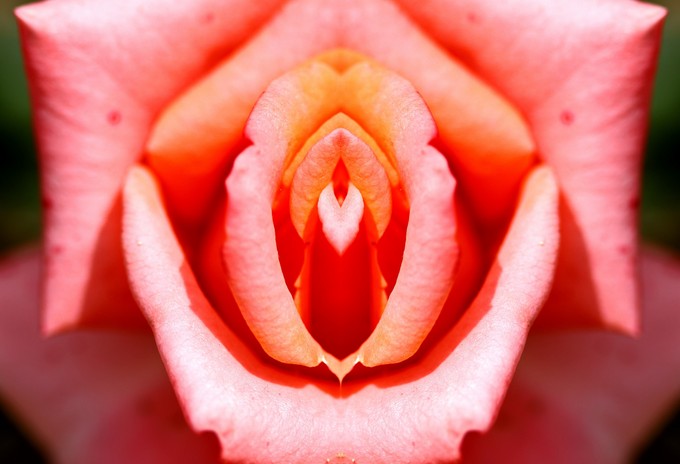 Intim szőrtelenítés után tényleg jobb a szex? című cikk nyitóképe