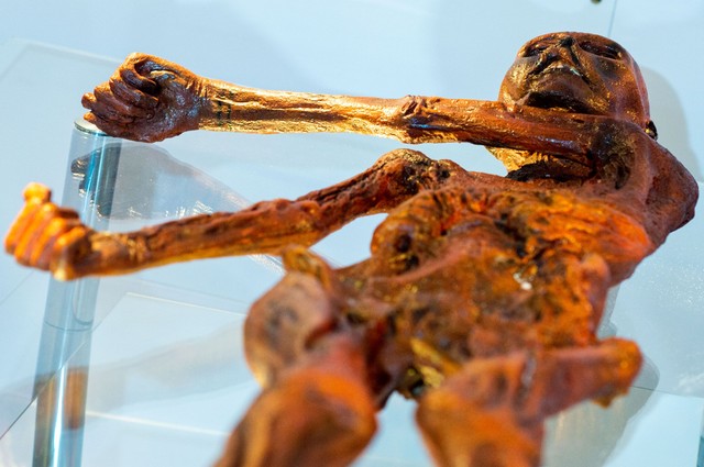 A tudósok aktív életre utaló jeleket találtak Ötzi-ben, a jégemberben