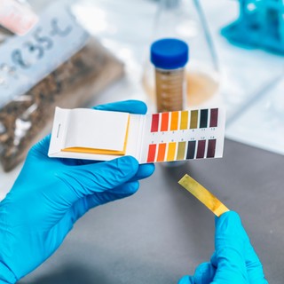 Mit jelent a pH érték a laborleleten? című cikk nyitóképe