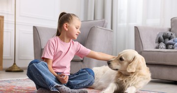 Videón a figyelmeztetés: a kutya próbált szólni, de senki nem értette - majdnem megsérült ezért a kislány