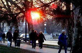 Pályázat - az SM Világnapján!