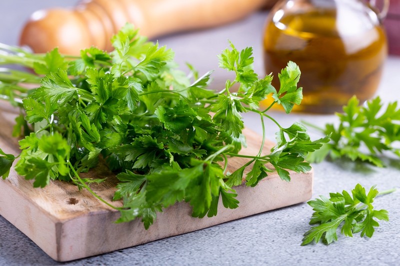 Ezért vigyázzon a petrezselyemmel, ha beköszönt a nyár