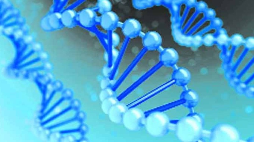 dna_1