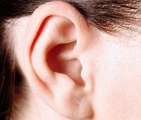 Orvosi siker: fül és orr növesztése őssejtekből