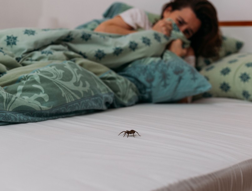 pók összeesik elájul agydaganat