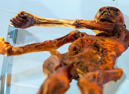 A tudósok aktív életre utaló jeleket találtak Ötzi-ben, a jégemberben című cikk nyitóképe