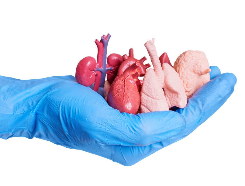 szerv átültetés személyiség változás