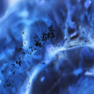 Felfedeztek egy genetikai mechanizmust, amelytől 200 évig élhetnénk rákbetegség kialakulása nélkül című cikk nyitóképe