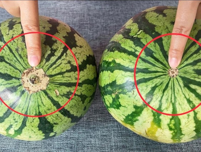 tökéletes mézédes görögdinnye kiválasztása