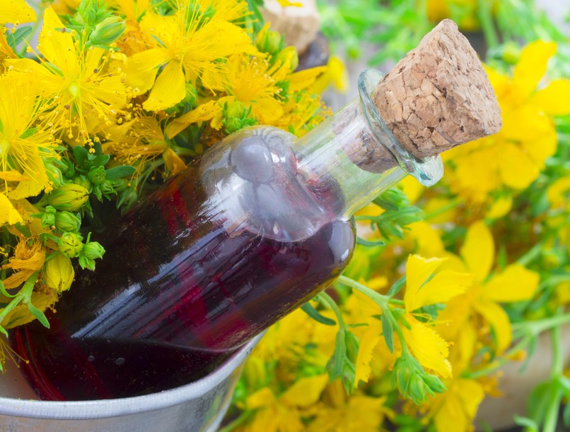 orbáncfű, magas vérnyomás, alvászavar, depresszió, gyógynövény