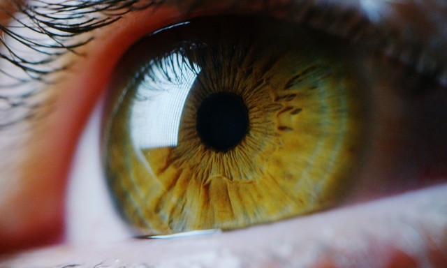 Zöldhályog: megelőzhető-e a látásvesztés?