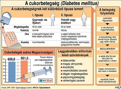 Képes adatbank: a cukorbetegségről röviden
