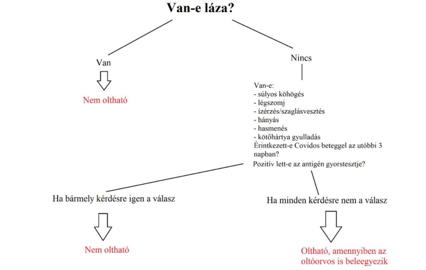A többiek védelme érdekében MINDENKÉPP FFP2 maszkban menjen oltásra!