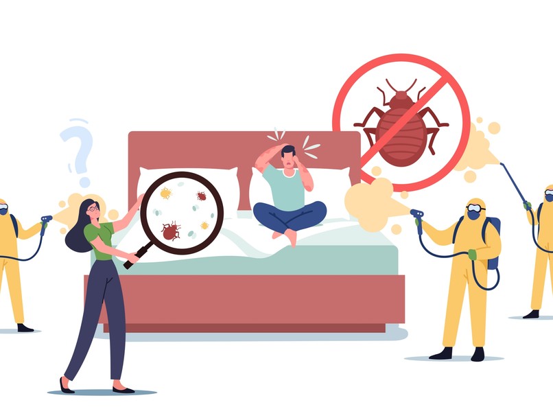 poloskainvázió, poloska ellen, ágyipoloska