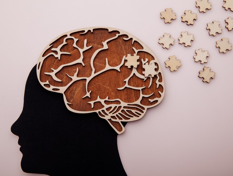 memória kutatási agyi funkciók vizsgálat