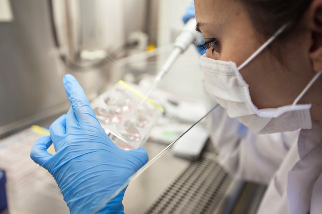 Koronavírus: magyar kutatóknak köszönhetően az eddigieknél hatékonyabb lehet a gyógyítás