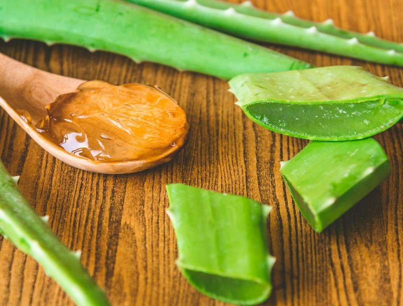 aloe_vera