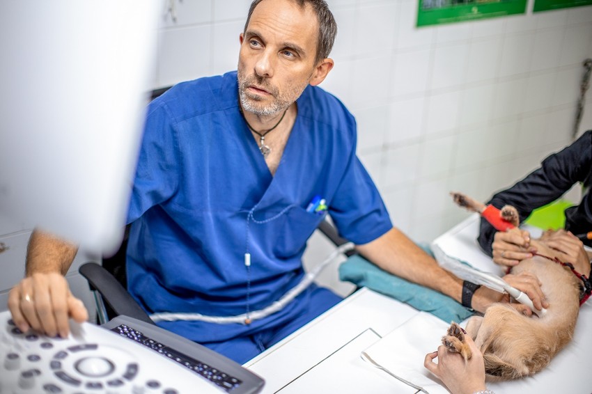 Dr. Varga Józsefet már csak csodadokiként emlegetik